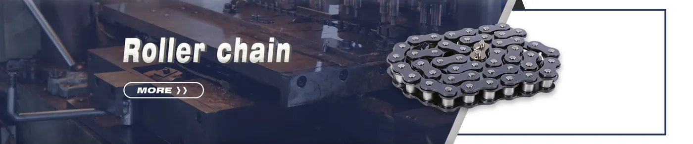 Roller Chain