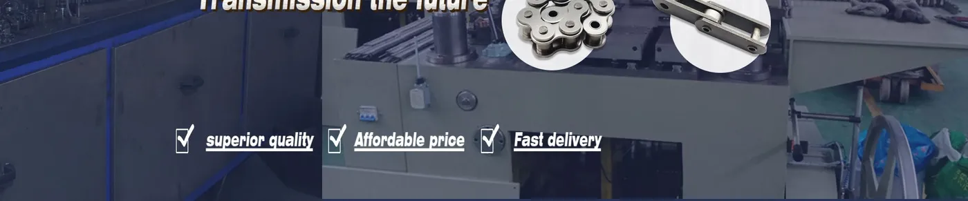 Stainless Steel Chain